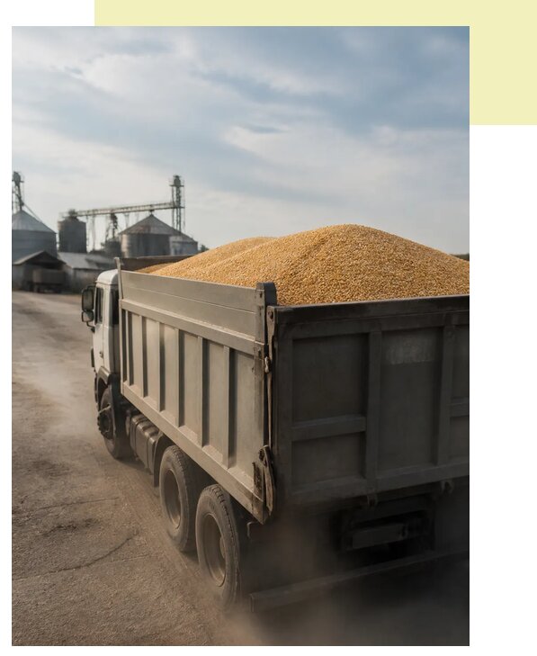 Перевозка сельхозпродукции навалом в Новокуйбышевск по цене от 3073 р. | Агросервис-Нвб